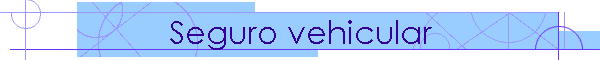 Seguro vehicular